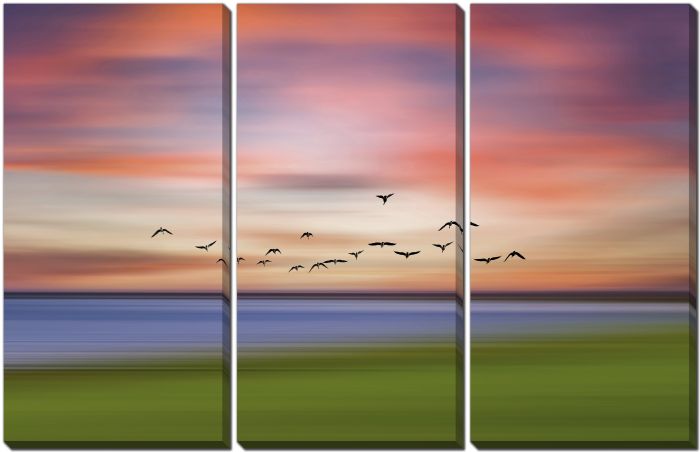 Birds In The Sunset