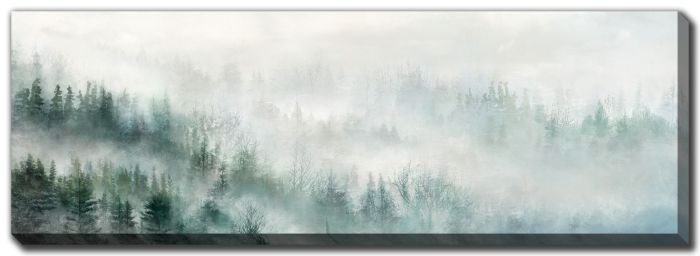 Hazy Pines