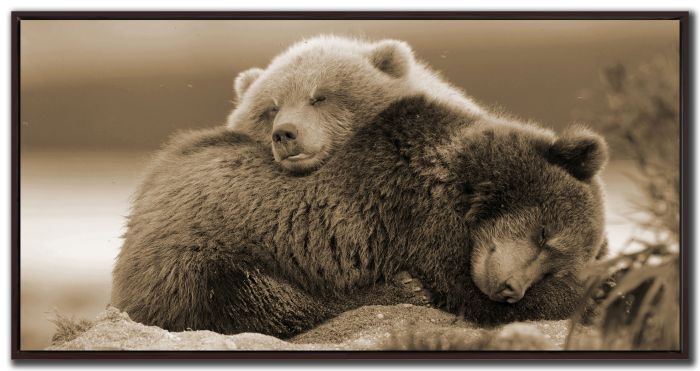 Sleepy Bears