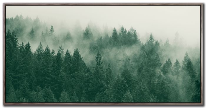 Emerald Forest