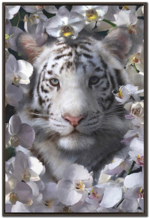 Wild Beauty