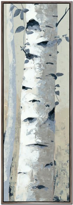 Aspen Birch II