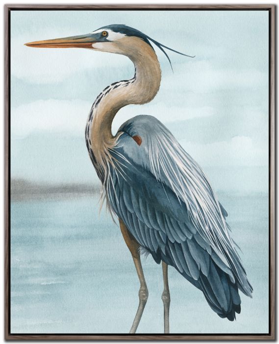Back Bay Heron II