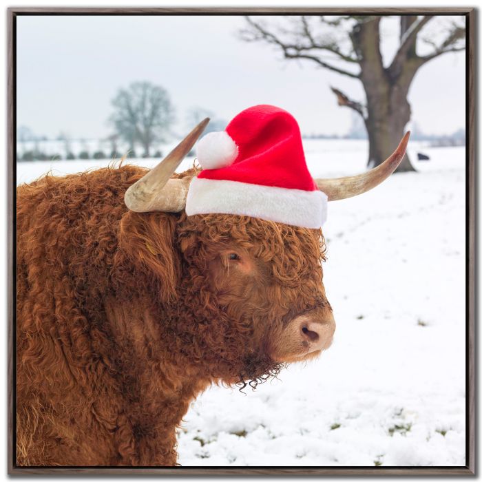Festive Cow
