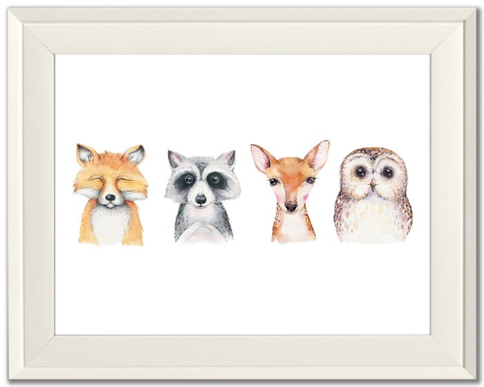 Forest Animals