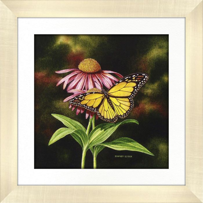 Coneflower of Choice 2