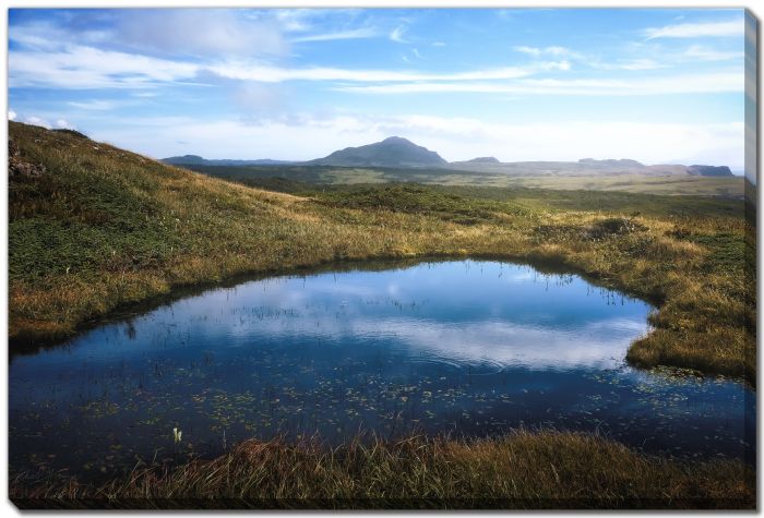 Distant Hills Hilltop Bog 