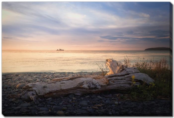 Driftwood Stone Beach Island 