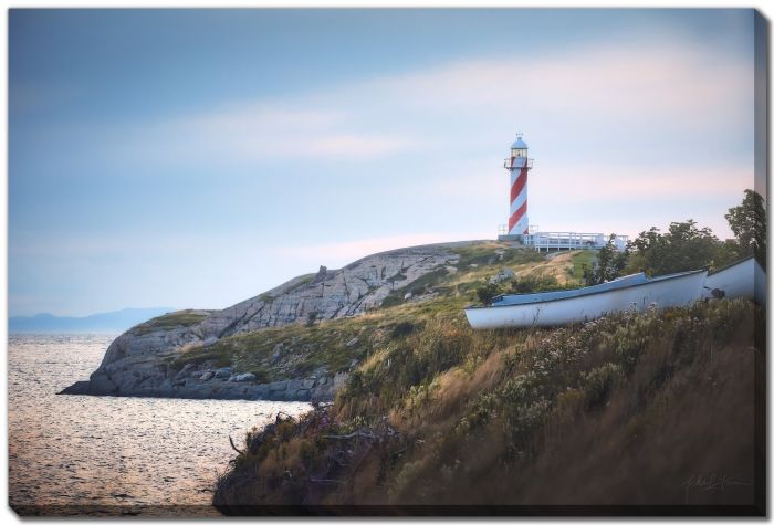 Lighthouse Flower Hill Seaside 