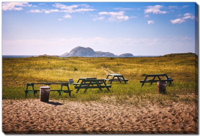 Tables Cans Island 
