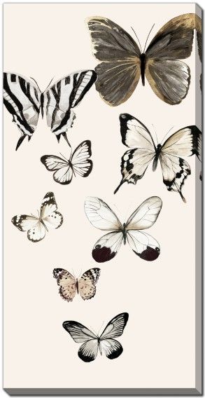 Butterflies Fly I