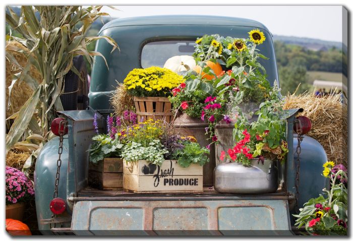 Vintage Truck with Flowers